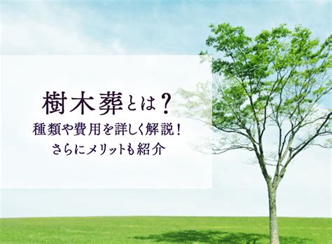 樹木墓地|樹木葬とは？種類と特徴・永代供養との違い、。